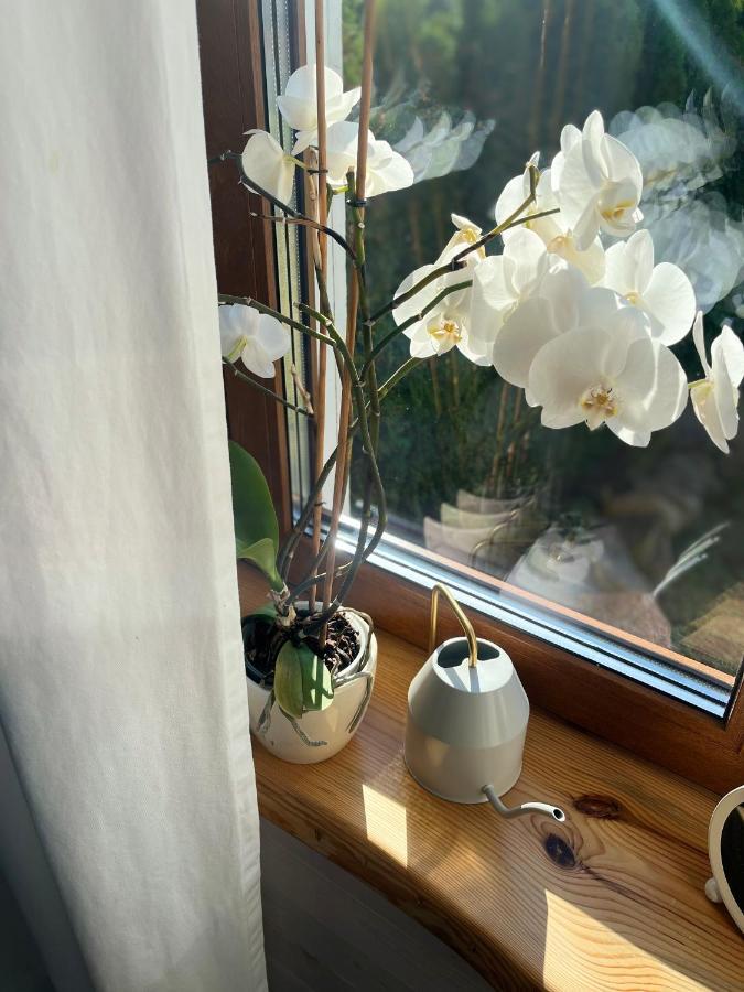 Klaukse Hotel Aabla Kültér fotó